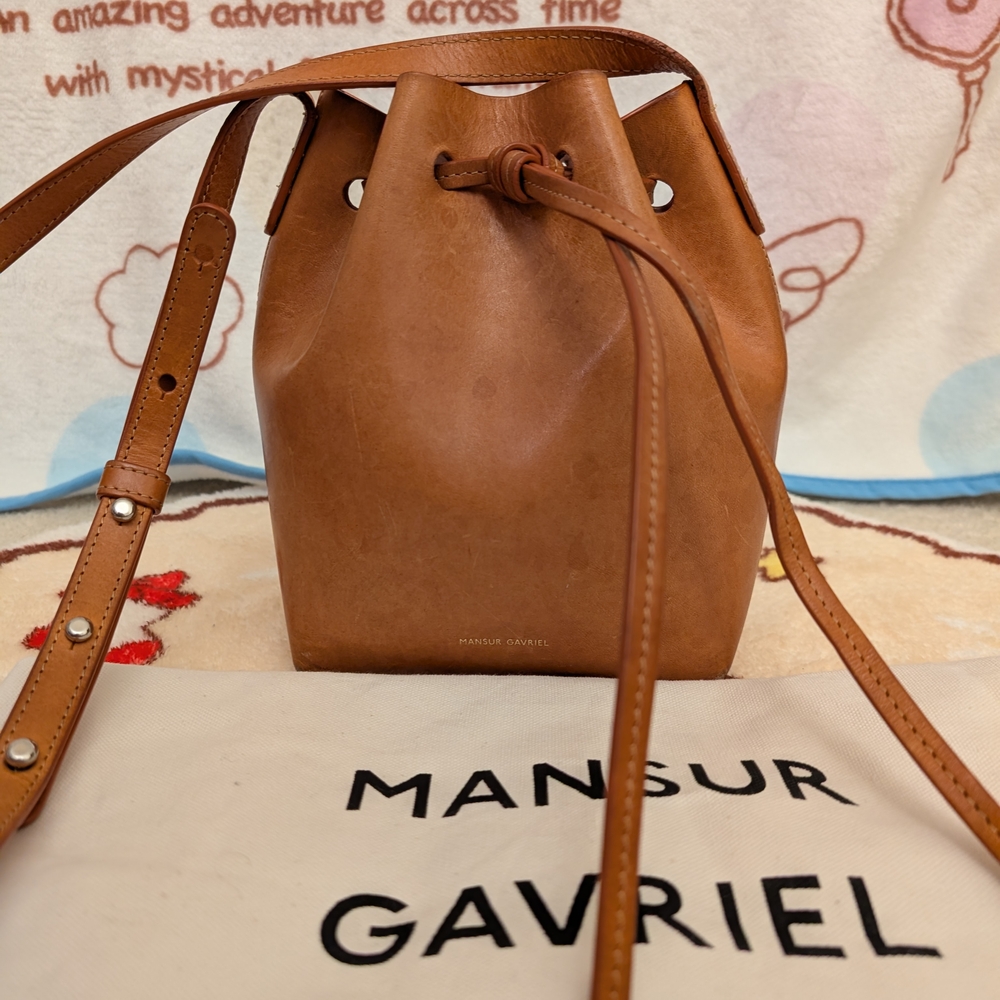 Mansur Gavriel Mini Mini Bucket Bag In Rosa